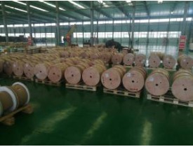 雙玻璃絲包線有哪些特征？